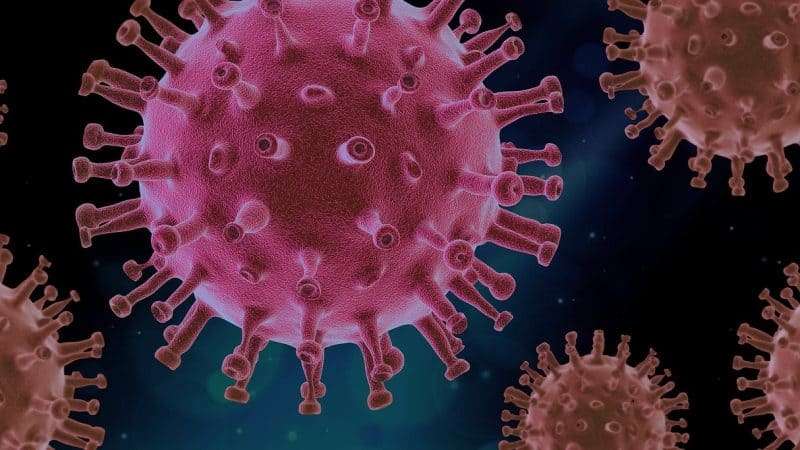 Immunità, dal cancro a Covid-19: sogni e sfide al Festival della Mente di Sarzana
