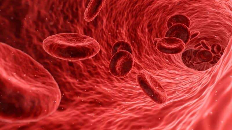 Ricercatori italiani scoprono nuove possibili terapie contro la sindrome di Richter
