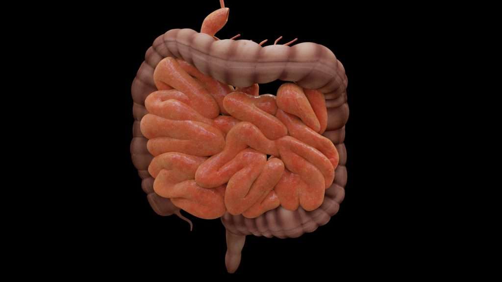 pulizia intestinale bromatech