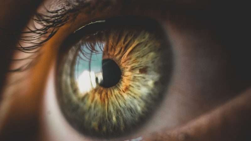 Iridologo: Chi è? Cosa fa? L’Iridologia è Utile?