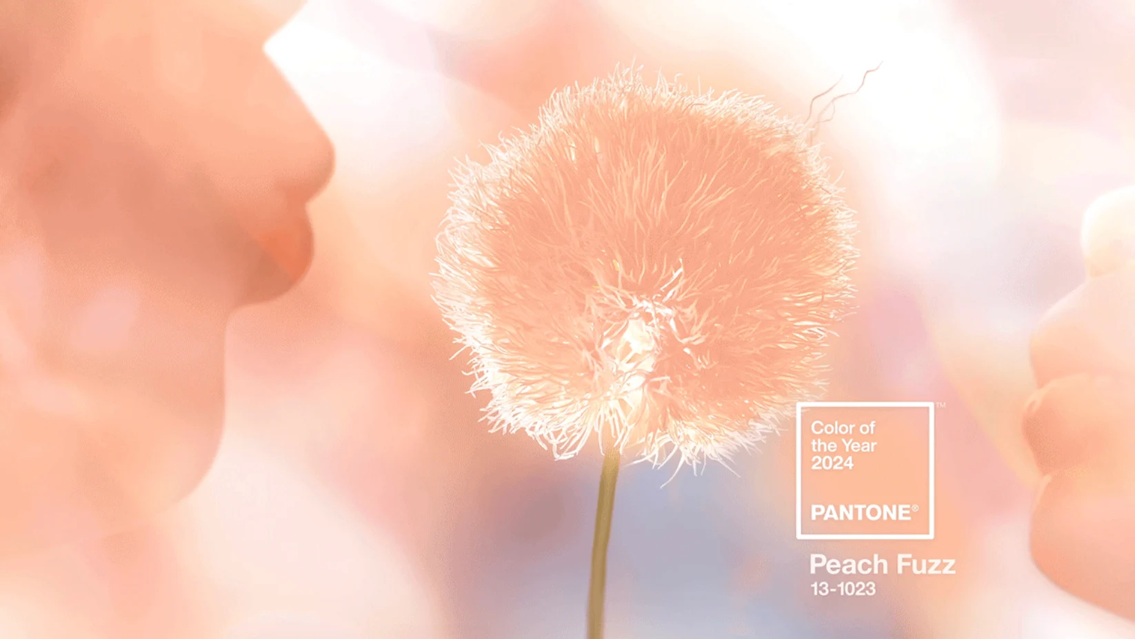 Pantone colore dell'anno 2024 papaya pesca