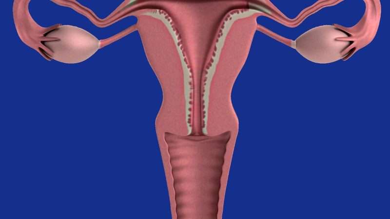 Combattere il Carcinoma all’Utero con la Consapevolezza