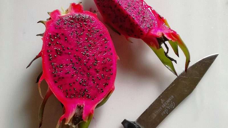 Dragonfruit: Viaggio nel Mondo Esotico e Salutare di questo Curioso Frutto