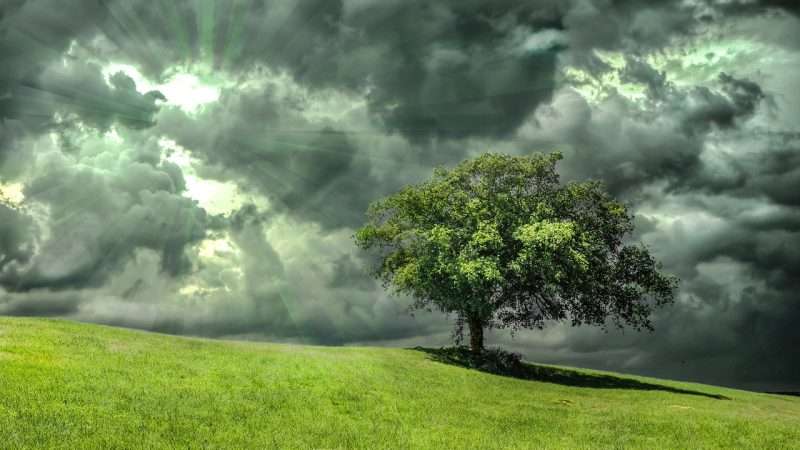 Appuntamenti e Festival sulla Sostenibilità ad Agosto 2024: un’Estate Green