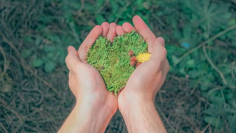 Appuntamenti e festival sulla sostenibilità a Luglio 2024: un Estate Green