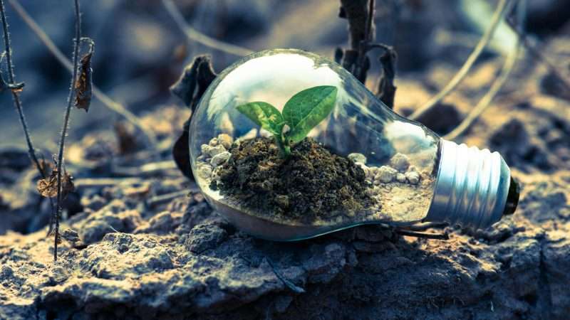 Relazione annuale ARERA 2024: consumi di elettricità e gas in Italia