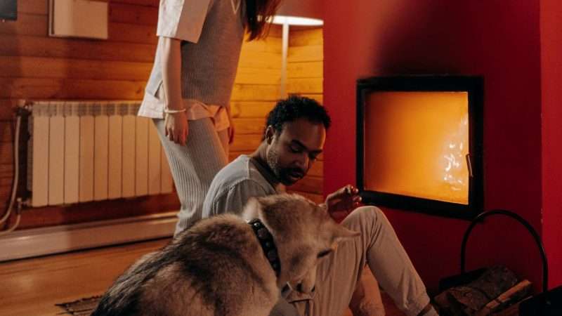 Caldaia legna e caldaia a pellet per il riscaldamento di questo inverno – i fattori chiave